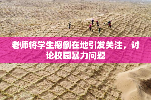 老师将学生摁倒在地引发关注，讨论校园暴力问题