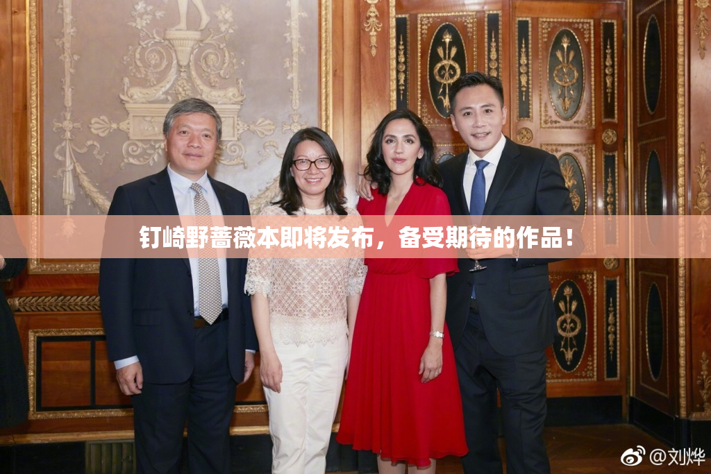 钉崎野蔷薇本即将发布，备受期待的作品！