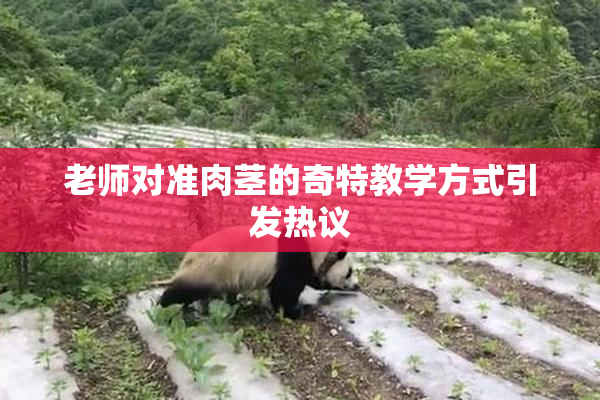 老师对准肉茎的奇特教学方式引发热议
