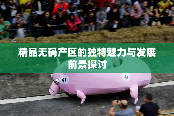 精品无码产区的独特魅力与发展前景探讨