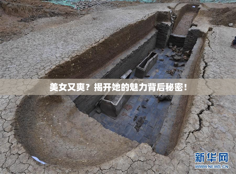 美女又爽？揭开她的魅力背后秘密！