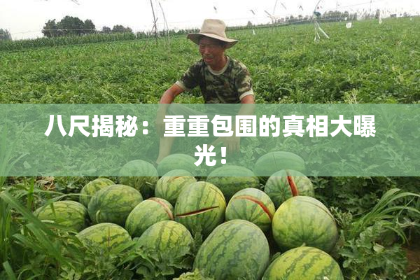 八尺揭秘：重重包围的真相大曝光！