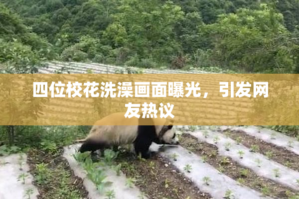 四位校花洗澡画面曝光，引发网友热议