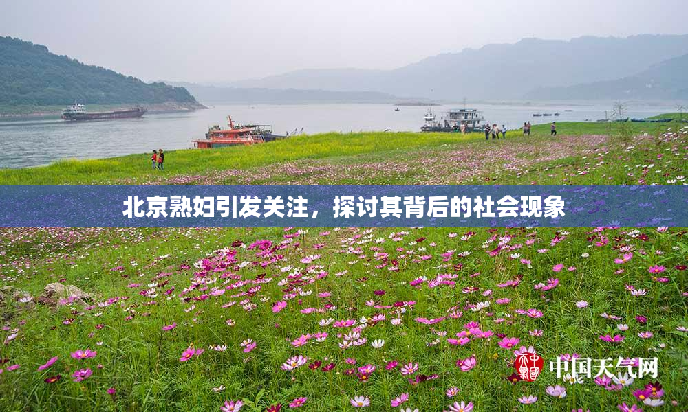 北京熟妇引发关注，探讨其背后的社会现象