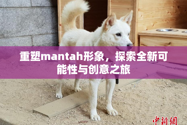 重塑mantah形象，探索全新可能性与创意之旅