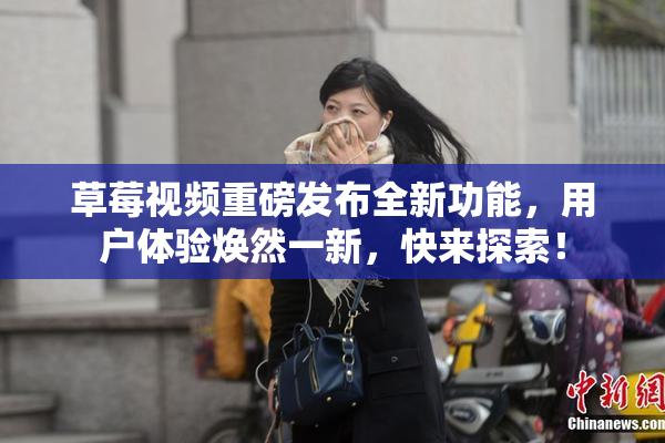 草莓视频重磅发布全新功能，用户体验焕然一新，快来探索！