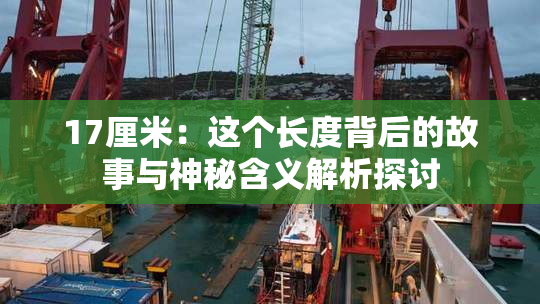 17厘米：这个长度背后的故事与神秘含义解析探讨