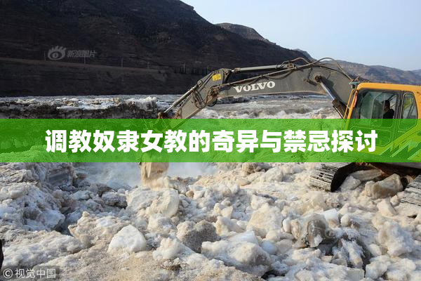 调教奴隶女教的奇异与禁忌探讨