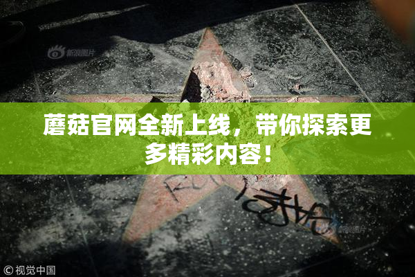 蘑菇官网全新上线，带你探索更多精彩内容！