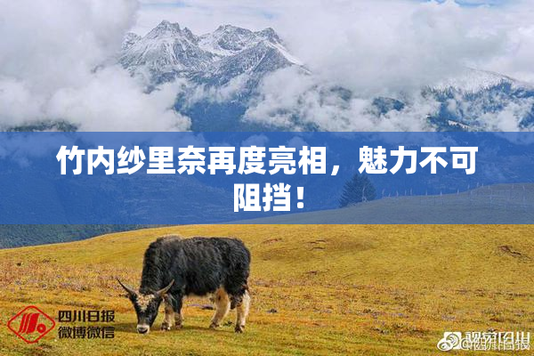 竹内纱里奈再度亮相，魅力不可阻挡！