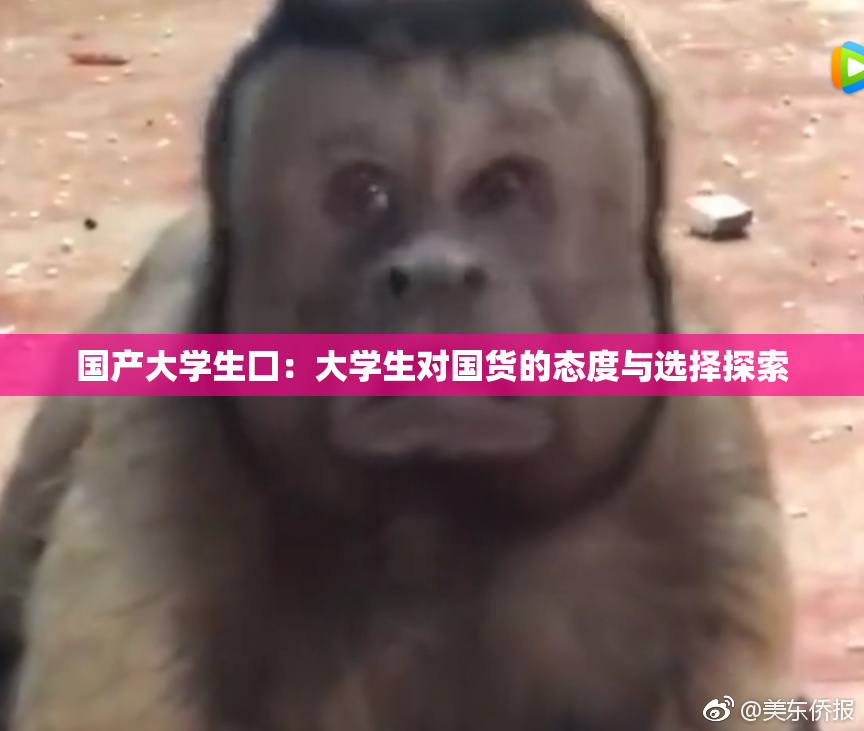 国产大学生囗：大学生对国货的态度与选择探索