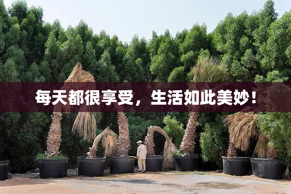 每天都很享受，生活如此美妙！