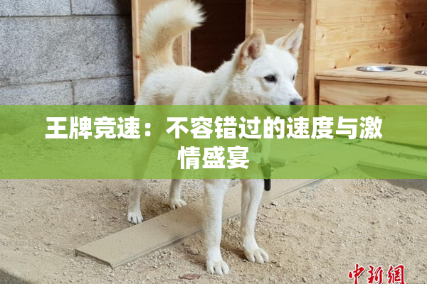王牌竞速：不容错过的速度与激情盛宴