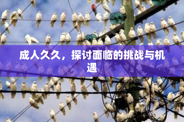 成人久久，探讨面临的挑战与机遇