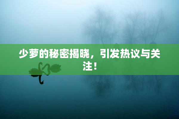 少萝的秘密揭晓，引发热议与关注！