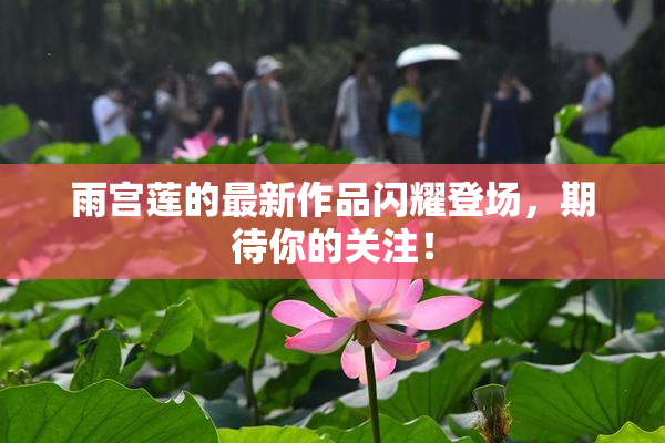 雨宫莲的最新作品闪耀登场，期待你的关注！