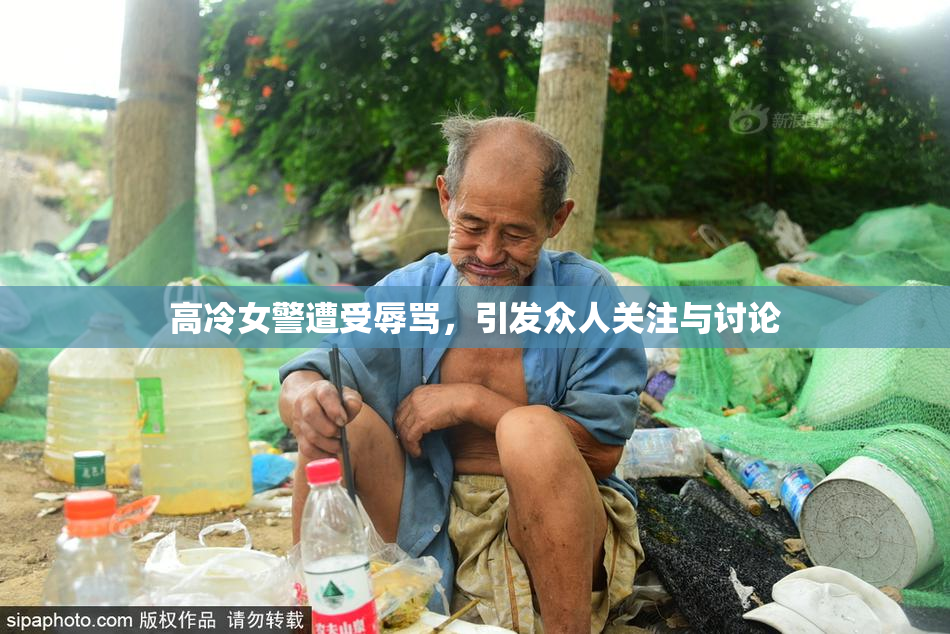 高冷女警遭受辱骂，引发众人关注与讨论