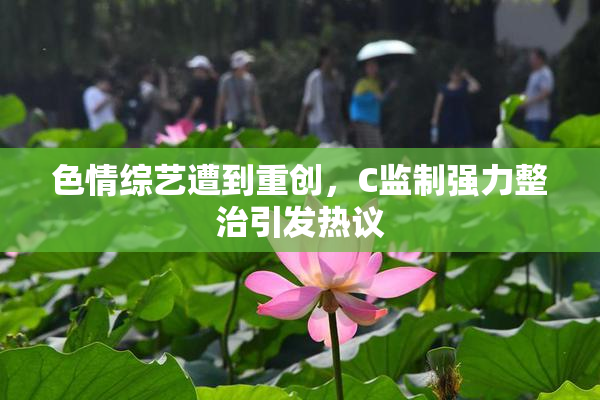 色情综艺遭到重创，C监制强力整治引发热议