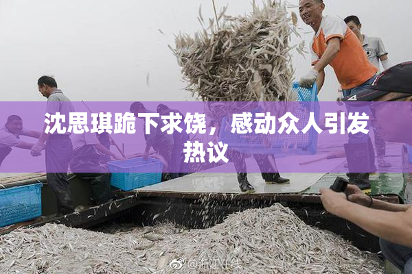 沈思琪跪下求饶，感动众人引发热议