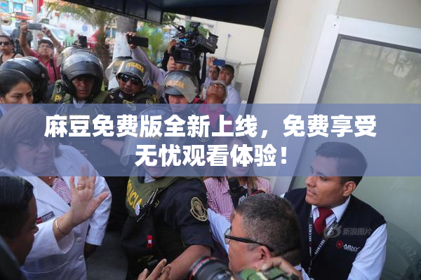 麻豆免费版全新上线，免费享受无忧观看体验！