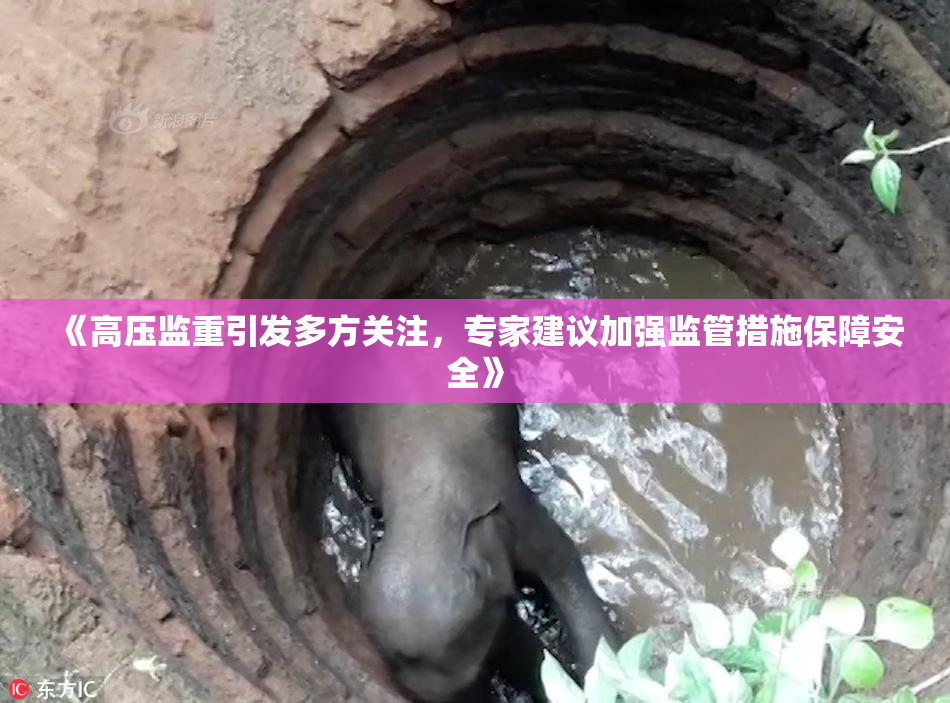 《高压监重引发多方关注，专家建议加强监管措施保障安全》