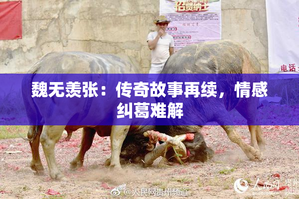 魏无羡张：传奇故事再续，情感纠葛难解