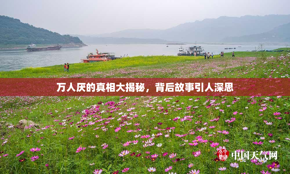 万人厌的真相大揭秘，背后故事引人深思
