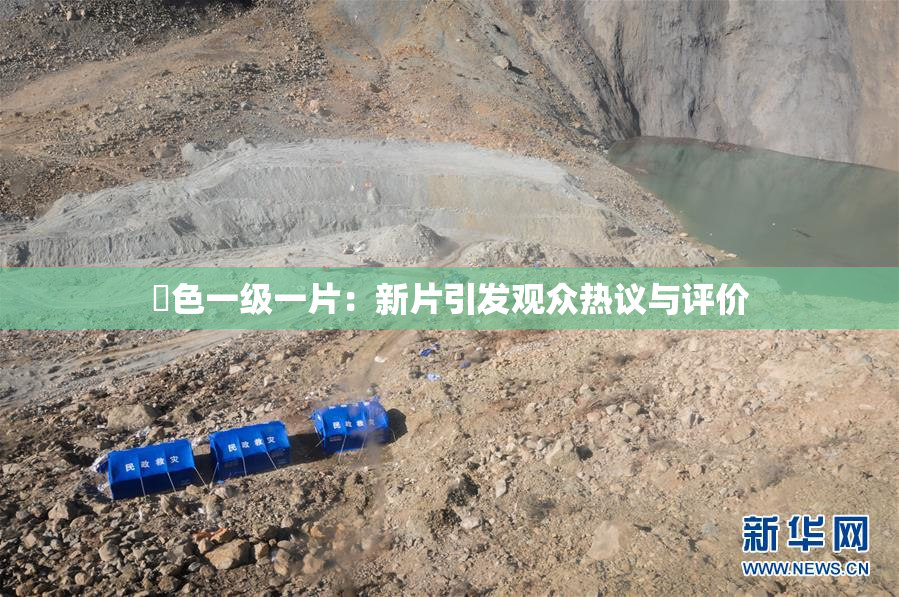 黃色一级一片：新片引发观众热议与评价