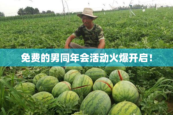 免费的男同年会活动火爆开启！
