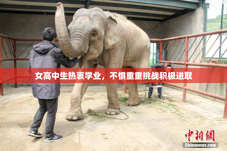 女高中生热衷学业，不惧重重挑战积极进取