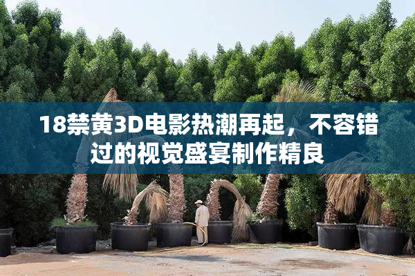 18禁黄3D电影热潮再起，不容错过的视觉盛宴制作精良