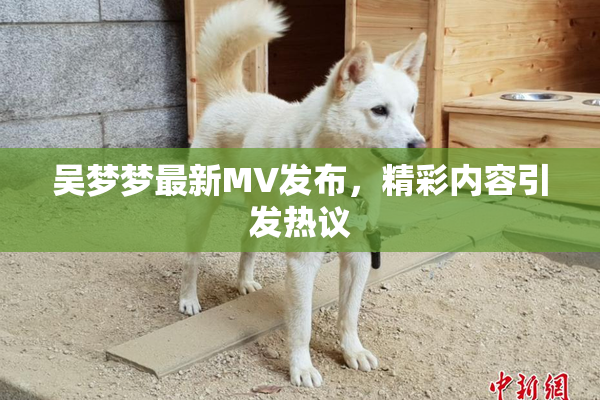 吴梦梦最新MV发布，精彩内容引发热议