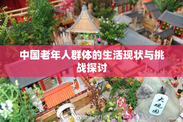中国老年人群体的生活现状与挑战探讨