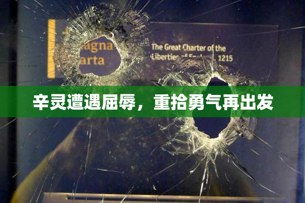 辛灵遭遇屈辱，重拾勇气再出发