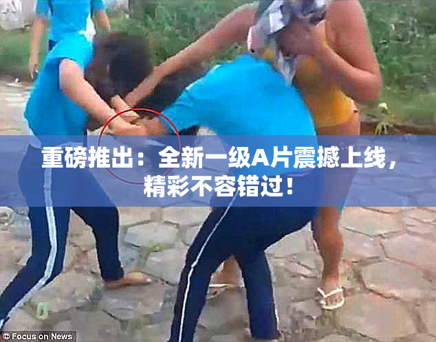 重磅推出：全新一级A片震撼上线，精彩不容错过！