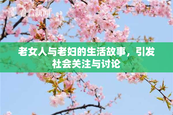 老女人与老妇的生活故事，引发社会关注与讨论