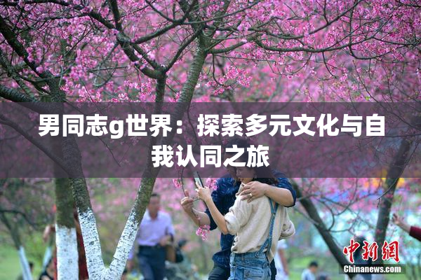男同志g世界：探索多元文化与自我认同之旅