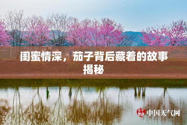 闺蜜情深，茄子背后藏着的故事揭秘