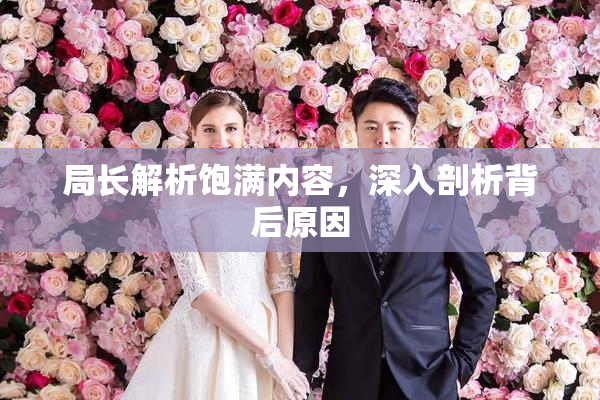 局长解析饱满内容，深入剖析背后原因