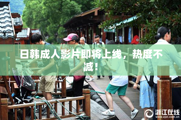 日韩成人影片即将上线，热度不减！