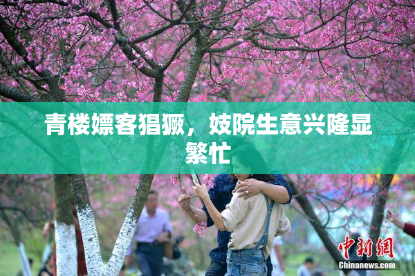 青楼嫖客猖獗，妓院生意兴隆显繁忙