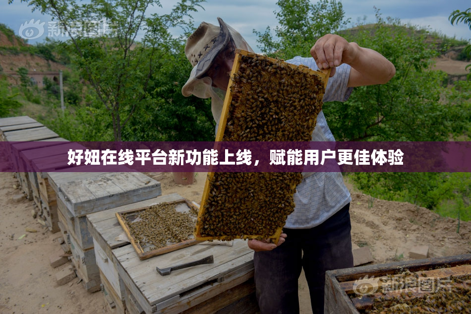 好妞在线平台新功能上线，赋能用户更佳体验