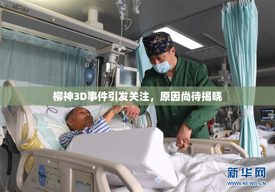 柳神3D事件引发关注，原因尚待揭晓