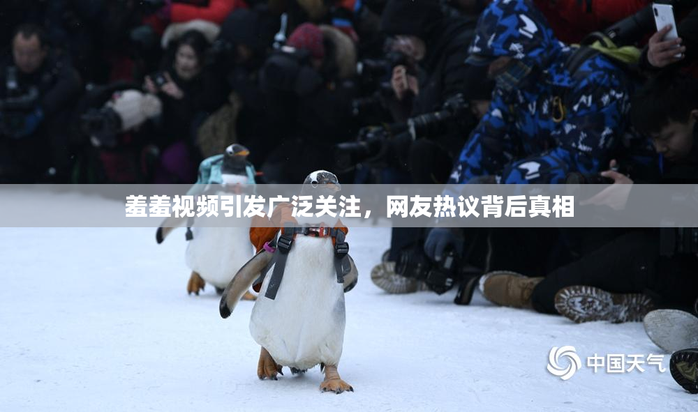 羞羞视频引发广泛关注，网友热议背后真相