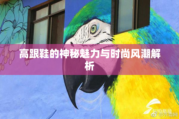 高跟鞋的神秘魅力与时尚风潮解析