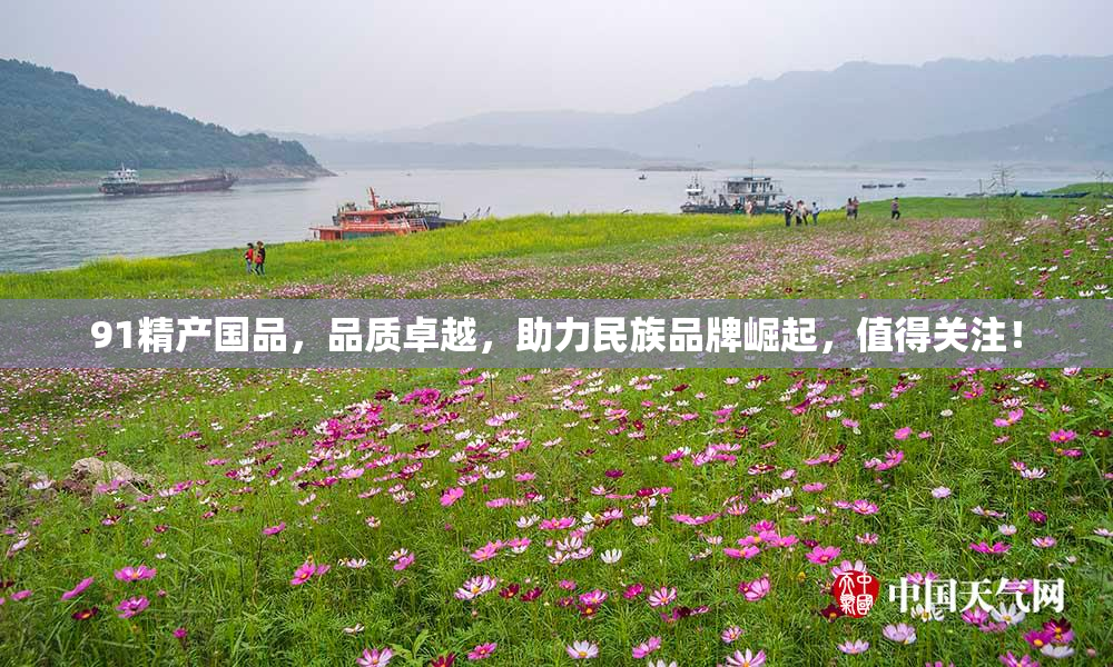 91精产国品，品质卓越，助力民族品牌崛起，值得关注！