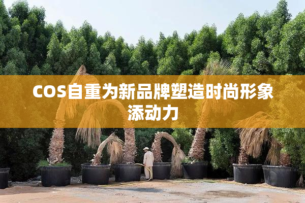 COS自重为新品牌塑造时尚形象添动力