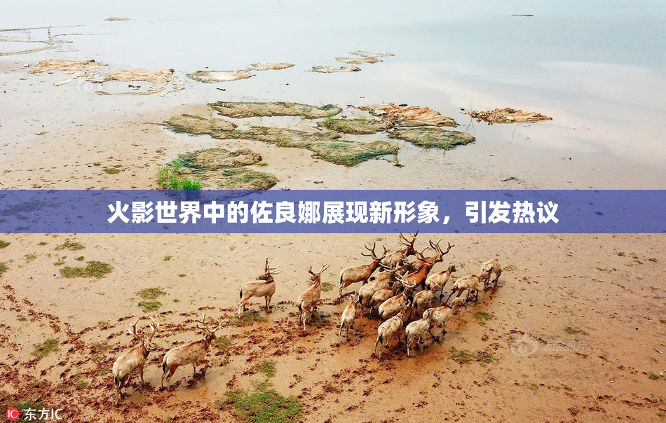 火影世界中的佐良娜展现新形象，引发热议