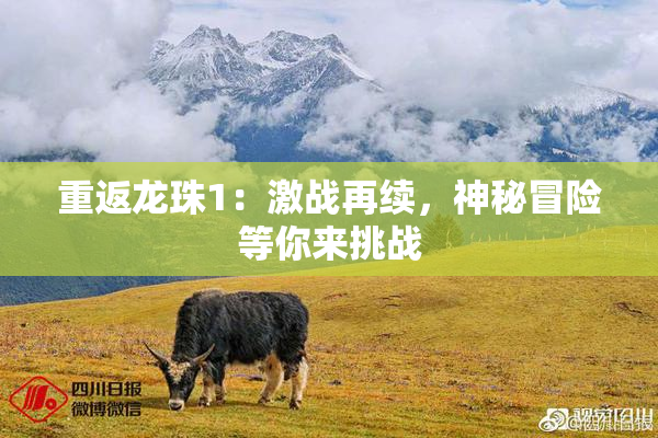 重返龙珠1：激战再续，神秘冒险等你来挑战