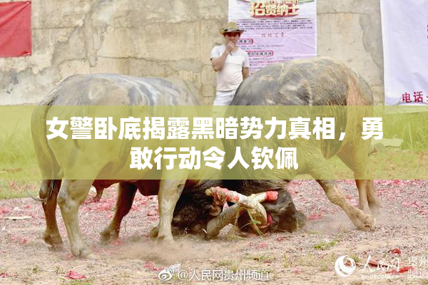 女警卧底揭露黑暗势力真相，勇敢行动令人钦佩